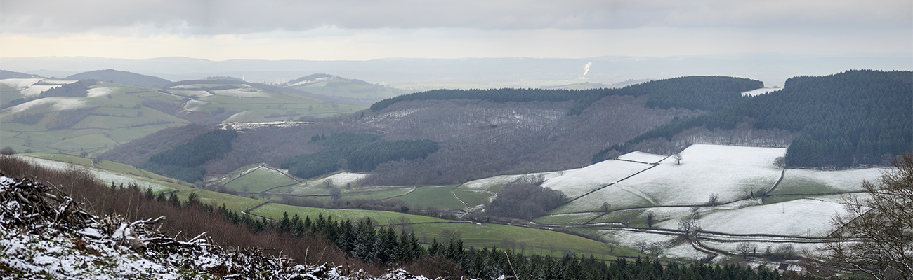 MBL Certenue - en tant qu'objet dynamique - 1